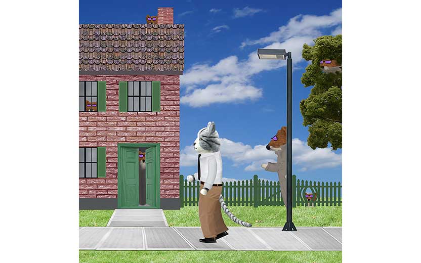 Book illustration